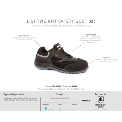 Chaussures de sécurité SAFETY BOOT 306 sans metal