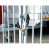 Chaîne antivol 0M80 multifonction portail quad moto bateau vélo remorque