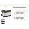 ROULANTE A OUTILS PROFESSIONNELLE 490X245X225 - VALISE A OUTILS