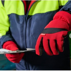 GANTS DE TRAVAIL CONGELATEUR GRAND FROID