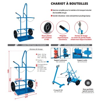 CHARIOT A BOUTEILLES POUR 2 BOUTEILLES B50 avec anneau levage 925 x 1585 MM