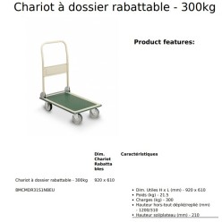 CHARIOT 1 DOSSIER RABATTABLE 300 kg PLATEAU 920X610 MM