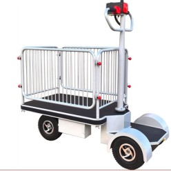 Plateforme motorisée à conducteur autoporté avec barrières 400 kg