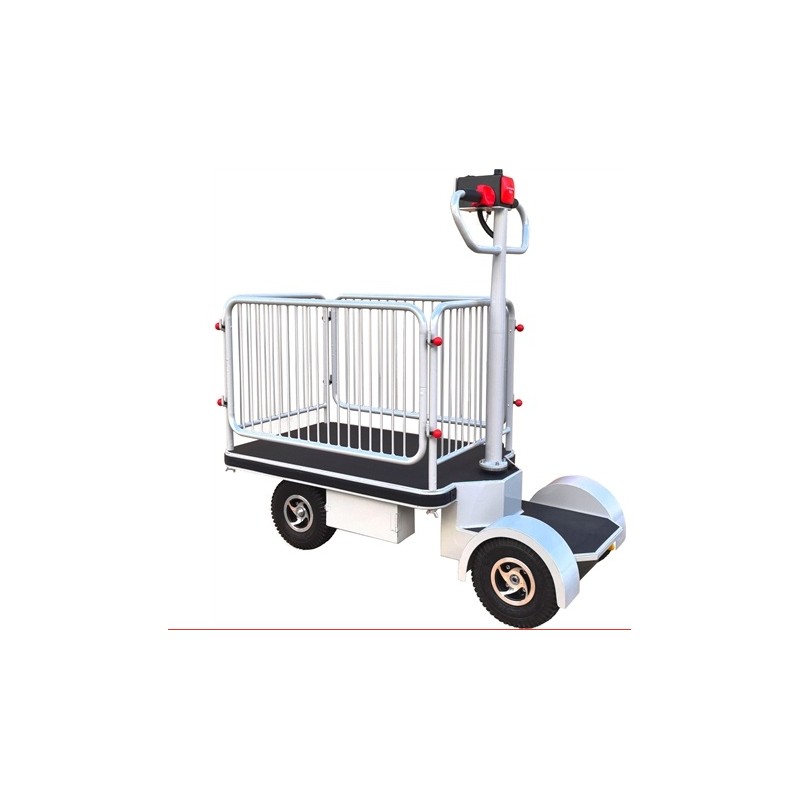 Plateforme motorisée à conducteur autoporté avec barrières 400 kg