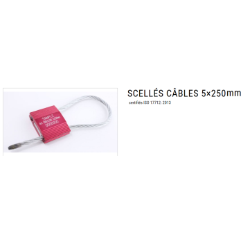 Scellés de sécurité câble 5x250 mm ISO17712:2013
